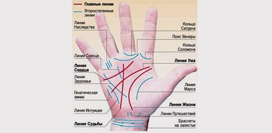 Судьба говорящая через руки