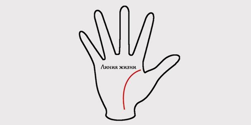 Судьба говорящая через руки